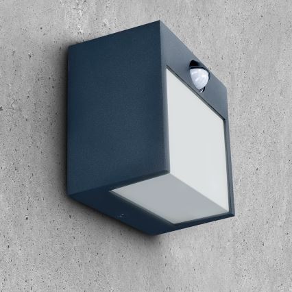 Brilagi - Aplique LED de exterior con sensor TERNI LED/12W/230V antracita IP44