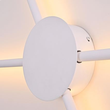 Brilagi - Aplique LED LUGO QUATTRO LED/16W/230V blanco