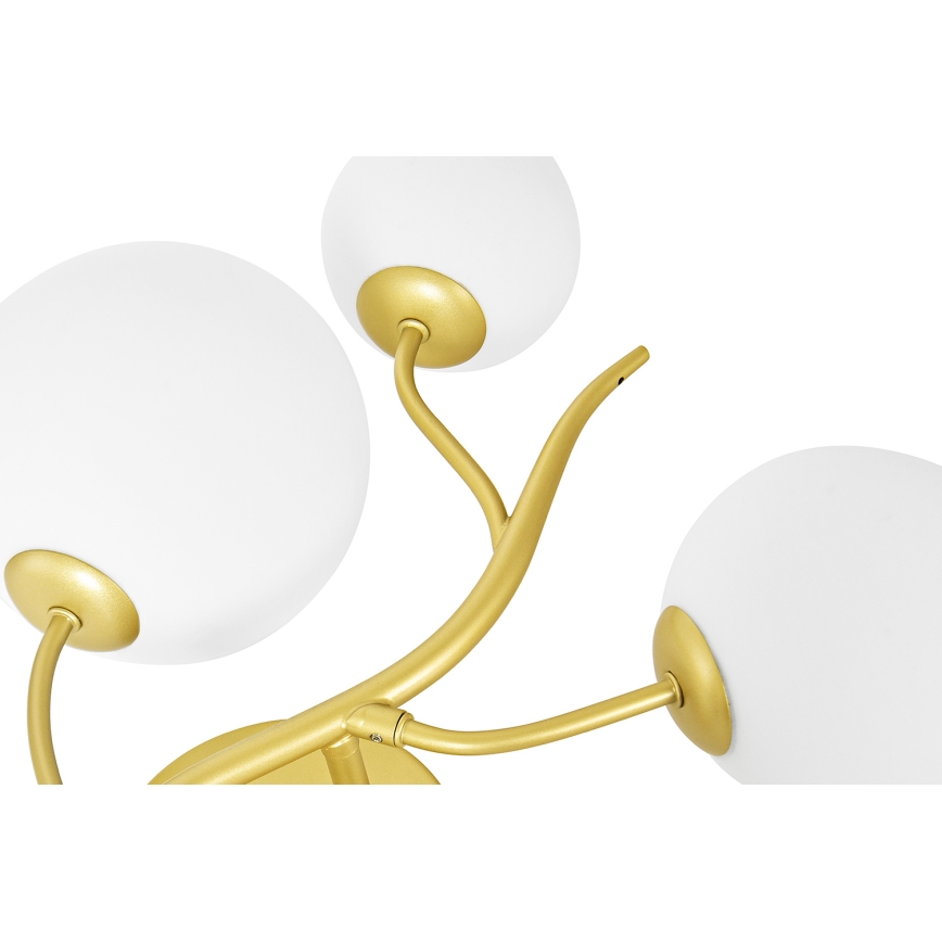 Brilagi - Aplique LED MISTEL 3xG9/3W/230V dorado/blanco