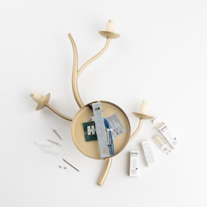 Brilagi - Aplique LED MISTEL 3xG9/3W/230V dorado/blanco