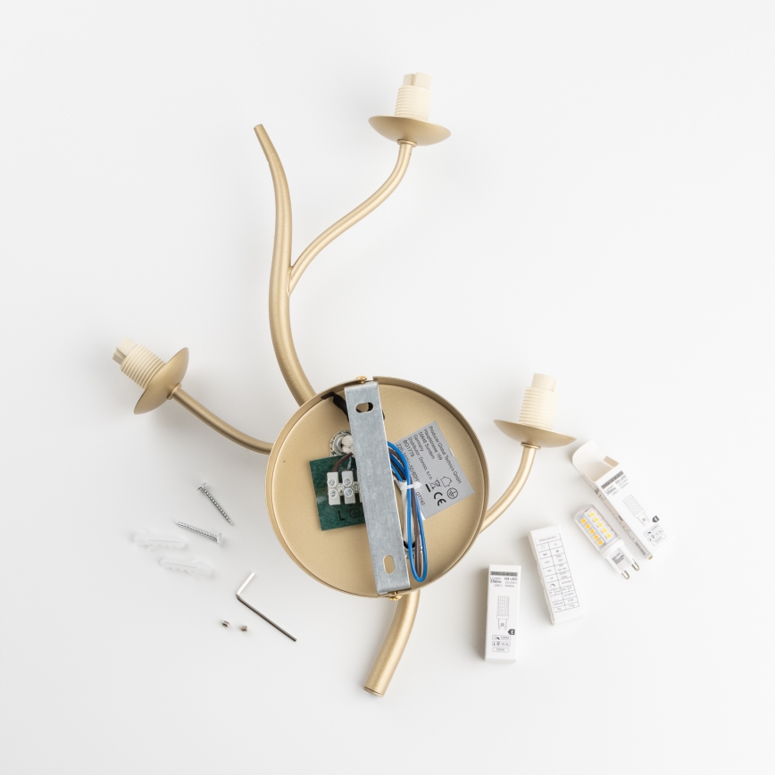 Brilagi - Aplique LED MISTEL 3xG9/3W/230V dorado/blanco