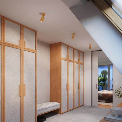 Brilagi - Foco CRESTO 1xGU10/10W/230V dorado