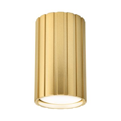 Brilagi - Foco CRISPINA 1xGU10/10W/230V 10 cm dorado