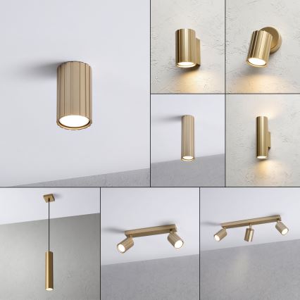 Brilagi - Foco CRISPINA 1xGU10/10W/230V 10 cm dorado