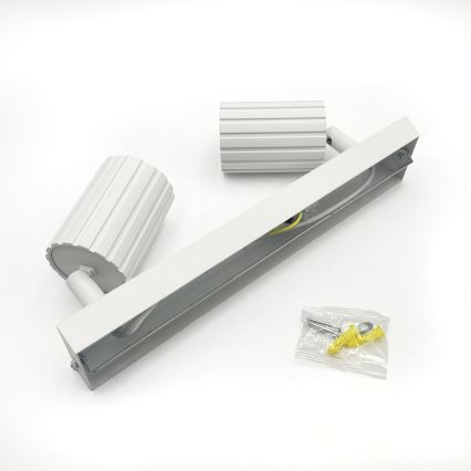 Brilagi - Foco CRISPINA 2xGU10/10W/230V blanco