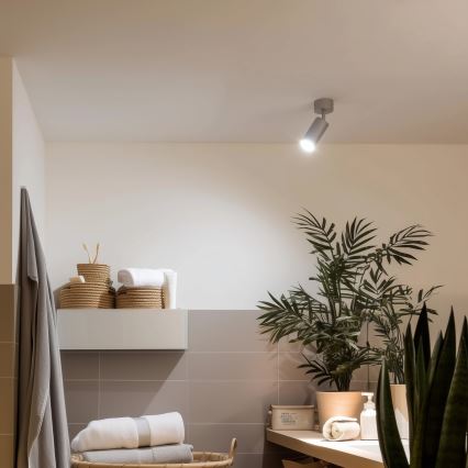 Brilagi - Foco de baño SELE 1xGU10/30W/230V IP44 plata