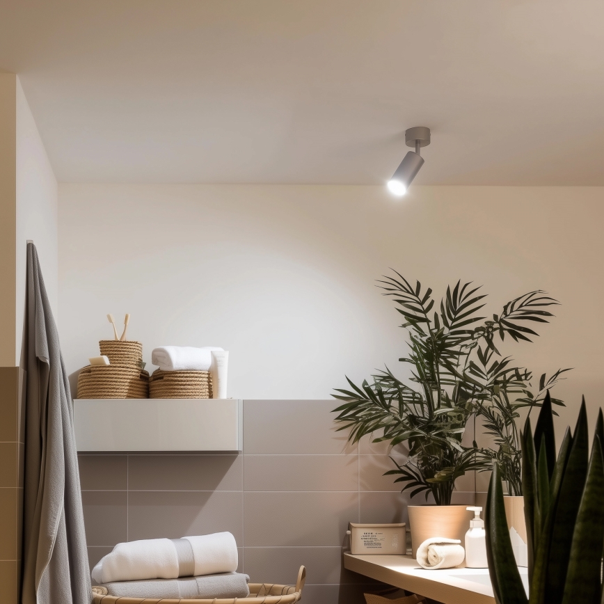 Brilagi - Foco de baño SELE 1xGU10/30W/230V IP44 plata