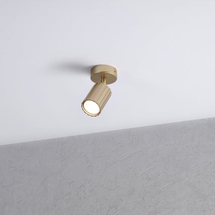 Brilagi - Foco direccional CRISPINA 1xGU10/10W/230V acabado dorado