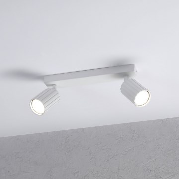 Brilagi - Foco orientable CRISPINA 2x GU10/10W/230V blanco