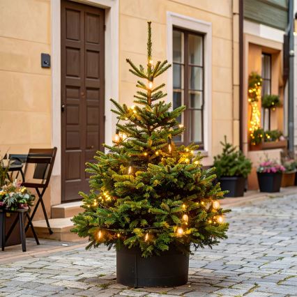 Brilagi - Guirnalda navideña LED de exterior 10xLED/3xAA 3,2 m IP44 blanco cálido