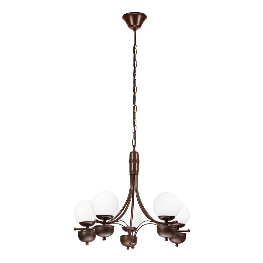 Brilagi - Lámpara colgante con cadena COTTAGE 5xG9/40W/230V roble/blanco
