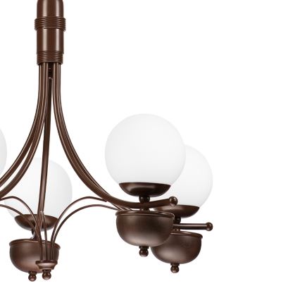 Brilagi - Lámpara colgante con cadena COTTAGE 5xG9/40W/230V roble/blanco