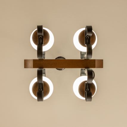 Brilagi - Lámpara colgante con cadena QUEEN 4xE14/40W/230V haya/nogal