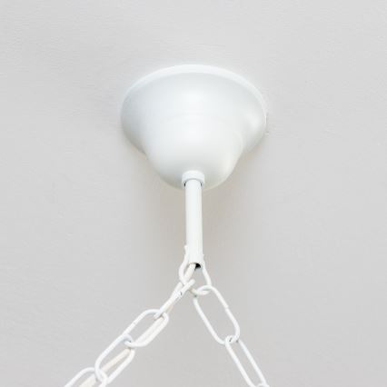 Brilagi - Lámpara colgante con cadena QUEEN 6xE14/40W/230V haya/crema