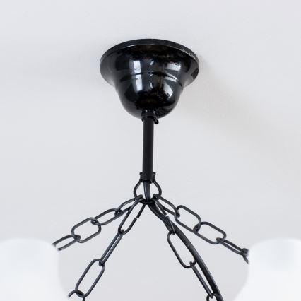 Brilagi - Lámpara colgante con cadena QUEEN 8xE14/40W/230V haya/nogal