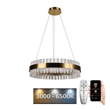 Brilagi - Lámpara colgante de cristal regulable HALO LED/40W/230V 3000-6500K Ø 60 cm + mando a distancia