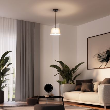 Brilagi - Lámpara colgante LED CERIA sobre cable 1xE27/40W/230V Ø 25 cm, gris