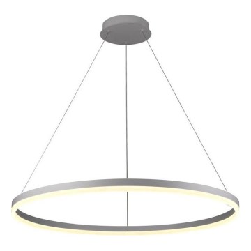 Brilagi - Lámpara colgante LED regulable CIRCLE LED/55W/230V 3000-6500K, diámetro 80 cm, plateada, con mando a distancia