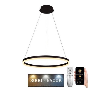 Brilagi - Lámpara colgante LED regulable con cable CIRCLE LED/42W/230V 3000-6500K Ø 60 cm + control remoto