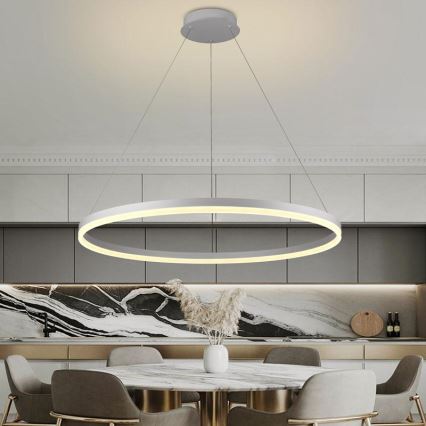 Brilagi - Lámpara colgante LED regulable con cable CIRCLE LED/55W/230V 3000-6500K + mando a distancia