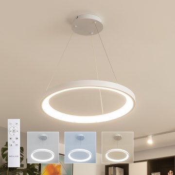 Brilagi - Lámpara colgante LED regulable con cable de suspensión FALCON SLIM LED/42W/230V 3000-6500K Ø 50 cm blanca + control remoto