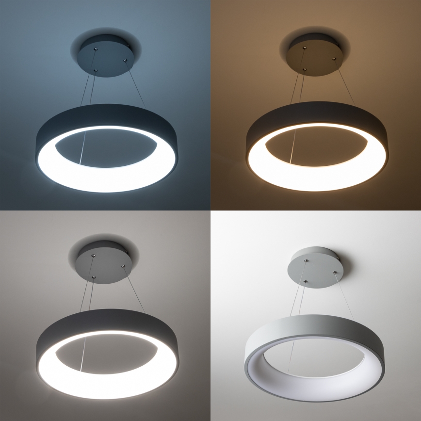 Brilagi - Lámpara colgante LED regulable sobre cable FALCON LED/80W/230V 3000-6500K diámetro 60 cm gris + mando a distancia