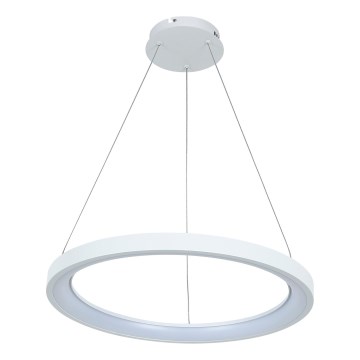 Brilagi - Lámpara colgante LED regulable con cable FALCON SLIM LED/42 W/230 V 3000–6500 K Ø 50 cm blanca + mando a distancia