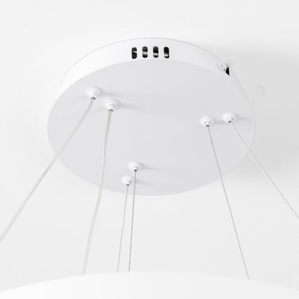 Brilagi - Lámpara colgante LED regulable suspendida por cable FALCON SLIM LED/68W/230V 3000-6500K, diámetro 50 cm, color blanco, con mando a distancia