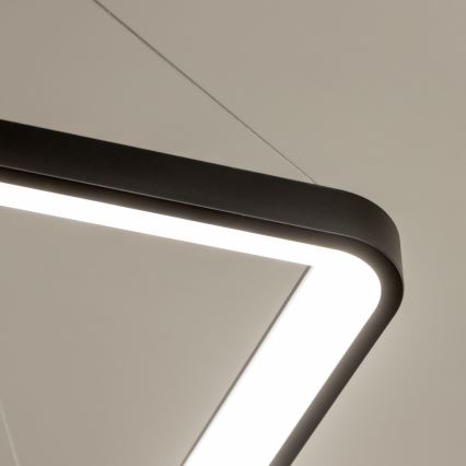 Brilagi - Lámpara colgante LED regulable FALCON SLIM LED/50W/230V 3000-6500K 50x50 cm negra + mando a distancia