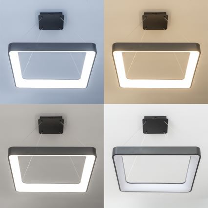 Brilagi - Lámpara colgante LED regulable con cable FALCON II LED/125W/230V 3000-6500K 60x60 cm negra + mando a distancia