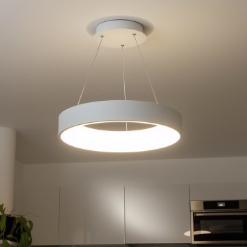 Brilagi - Lámpara colgante LED regulable en cable FALCON LED/80W/230V 3000-6500K Ø 60 cm blanca + mando a distancia