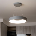 Brilagi - Lámpara colgante LED regulable en cable FALCON LED/80W/230V 3000-6500K Ø 60 cm gris + mando a distancia