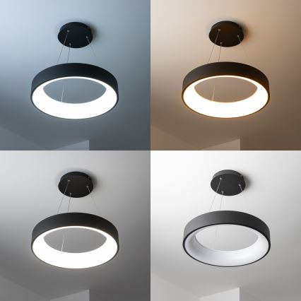 Brilagi - Lámpara colgante LED regulable con cable FALCON LED/40W/230V 3000-6500K Ø 45 cm negro + mando a distancia