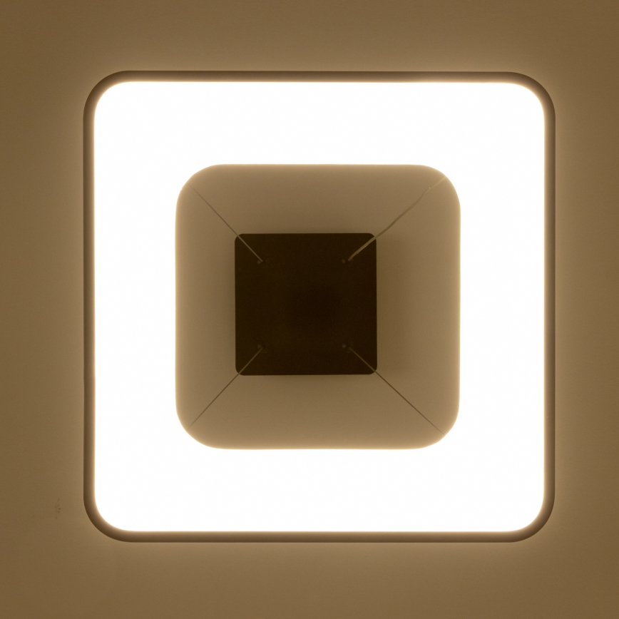 Brilagi - Lámpara colgante LED regulable suspendida en cable FALCON II LED/80W/230V 3000-6500K 40x40 cm negra + mando a distancia