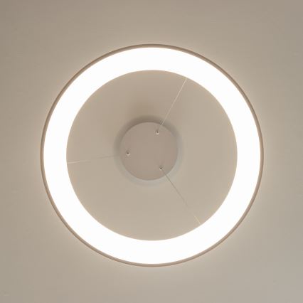Brilagi - Lámpara colgante LED regulable FALCON II LED/99W/230V 3000-6500K Ø 60 cm color blanco + control remoto