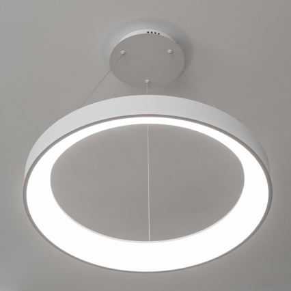 Brilagi - Lámpara colgante LED regulable FALCON II LED/99W/230V 3000-6500K Ø 60 cm color blanco + control remoto