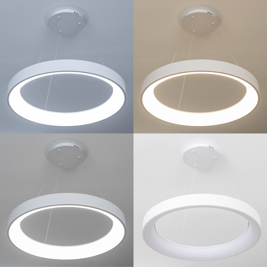 Brilagi - Lámpara colgante LED regulable FALCON II LED/99W/230V 3000-6500K Ø 60 cm color blanco + control remoto