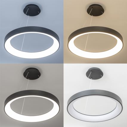 Brilagi - Lámpara colgante LED regulable con cable FALCON II LED/99W/230V 3000–6500K Ø 60 cm negra + mando a distancia