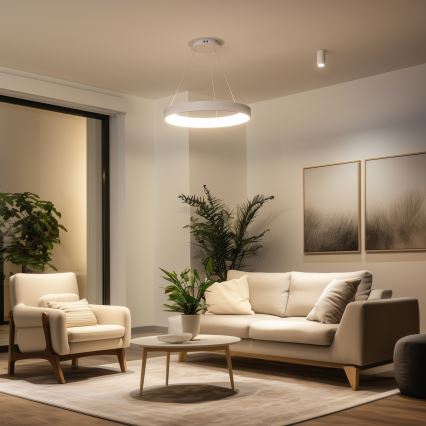 Brilagi - Lámpara colgante LED regulable suspendida por cable FALCON II LED/99W/230V 3000-6500K Ø 60 cm blanca + mando a distancia