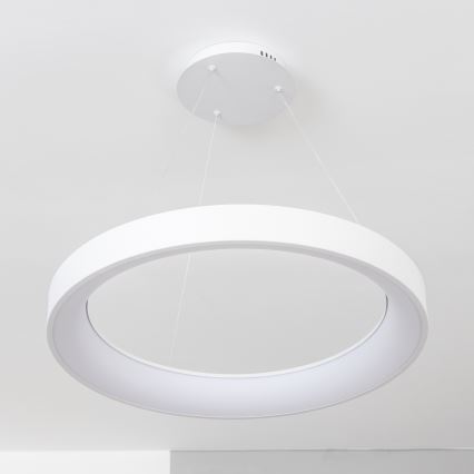 Brilagi - Lámpara colgante LED regulable suspendida por cable FALCON II LED/99W/230V 3000-6500K Ø 60 cm blanca + mando a distancia