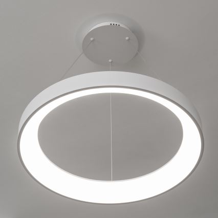 Brilagi - Lámpara colgante LED regulable suspendida por cable FALCON II LED/99W/230V 3000-6500K Ø 60 cm blanca + mando a distancia
