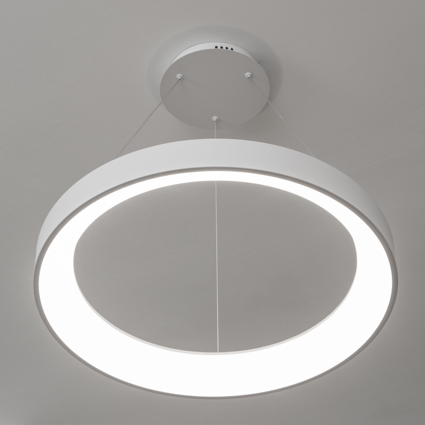 Brilagi - Lámpara colgante LED regulable suspendida por cable FALCON II LED/99W/230V 3000-6500K Ø 60 cm blanca + mando a distancia