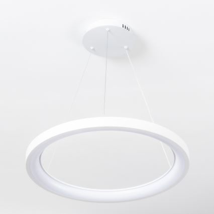 Brilagi - Lámpara colgante LED regulable con cable de suspensión FALCON SLIM LED/42W/230V 3000-6500K Ø 50 cm blanca + control remoto