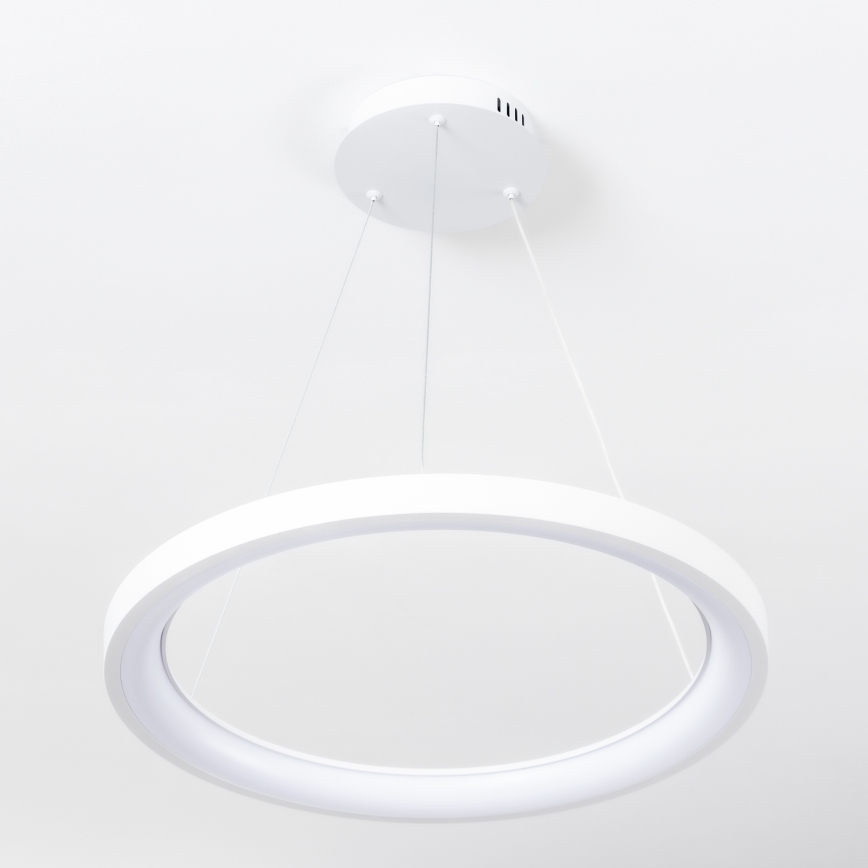 Brilagi - Lámpara colgante LED regulable con cable de suspensión FALCON SLIM LED/42W/230V 3000-6500K Ø 50 cm blanca + control remoto