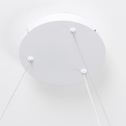 Brilagi - Lámpara colgante LED regulable con cable de suspensión FALCON SLIM LED/42W/230V 3000-6500K Ø 50 cm blanca + control remoto