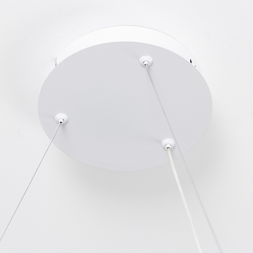 Brilagi - Lámpara colgante LED regulable con cable de suspensión FALCON SLIM LED/42W/230V 3000-6500K Ø 50 cm blanca + control remoto