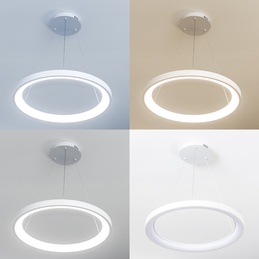 Brilagi - Lámpara colgante LED regulable con cable de suspensión FALCON SLIM LED/42W/230V 3000-6500K Ø 50 cm blanca + control remoto