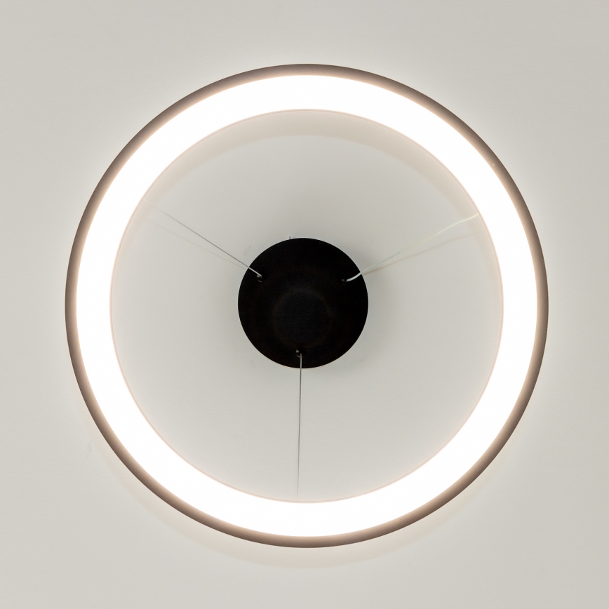 Brilagi - Lámpara colgante LED regulable con cable FALCON SLIM LED/42W/230V 3000-6500K Ø 50 cm negra + mando a distancia