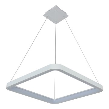 Brilagi - Lámpara colgante LED regulable FALCON SLIM LED/50W/230V 3000-6500K 50x50 cm blanca + control remoto