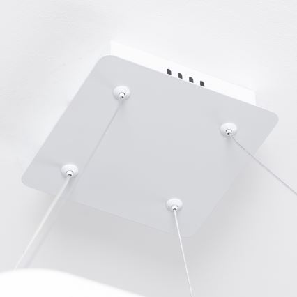 Brilagi - Lámpara colgante LED regulable FALCON SLIM LED/50W/230V 3000-6500K 50x50 cm blanca + control remoto